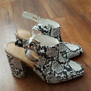 Shoe Dazzal Snake skin shoes